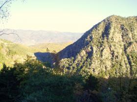 photo coins arrondis