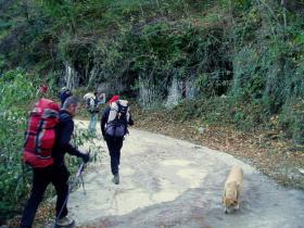 photo coins arrondis