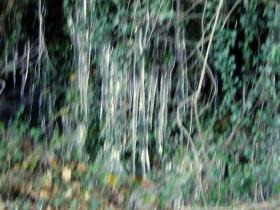 photo coins arrondis