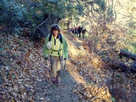 photo coins arrondis