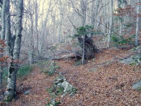 photo coins arrondis