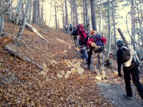 photo coins arrondis