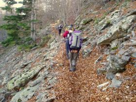 photo coins arrondis