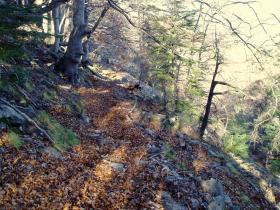 photo coins arrondis