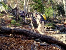 photo coins arrondis