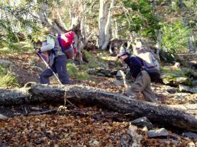 photo coins arrondis