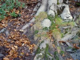 photo coins arrondis