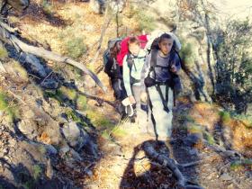 photo coins arrondis