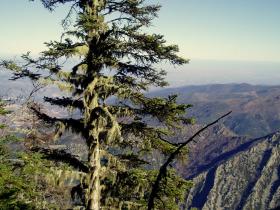 photo coins arrondis