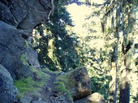 photo coins arrondis