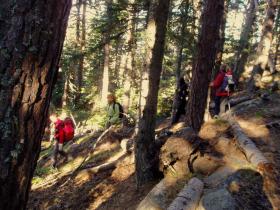 photo coins arrondis