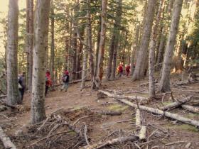 photo coins arrondis