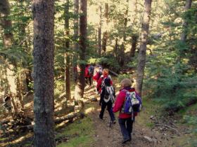 photo coins arrondis