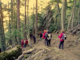 photo coins arrondis