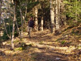 photo coins arrondis