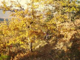 photo coins arrondis