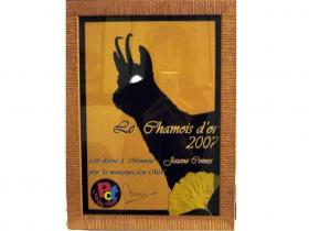 photo coins arrondis