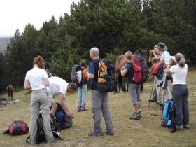 photo coins arrondis