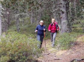 photo coins arrondis