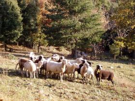 photo coins arrondis