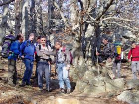 photo coins arrondis