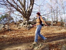 photo coins arrondis