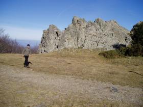 photo coins arrondis