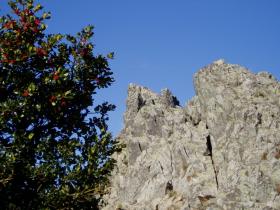 photo coins arrondis