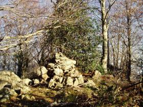 photo coins arrondis