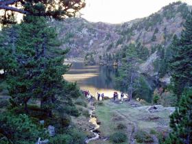 photo coins arrondis