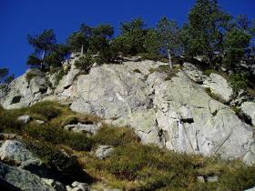 photo coins arrondis