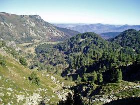 photo coins arrondis