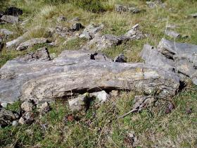 photo coins arrondis