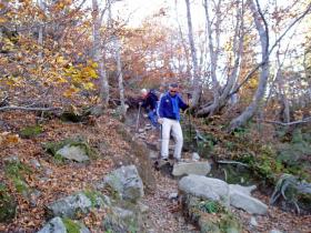 photo coins arrondis