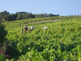 photo coins arrondis