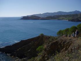 photo coins arrondis