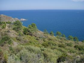 photo coins arrondis