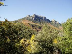 photo coins arrondis