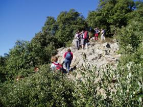 photo coins arrondis