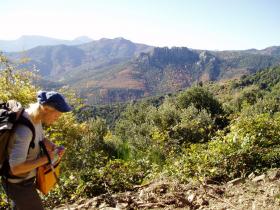 photo coins arrondis