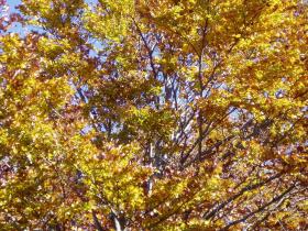 photo coins arrondis