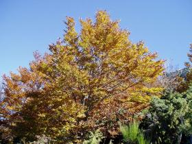 photo coins arrondis