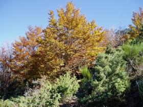 photo coins arrondis