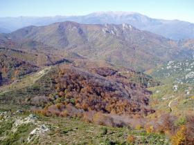 photo coins arrondis