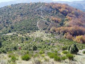 photo coins arrondis