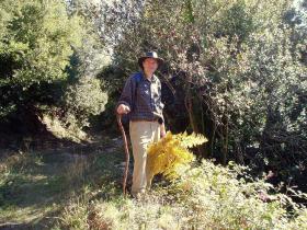 photo coins arrondis