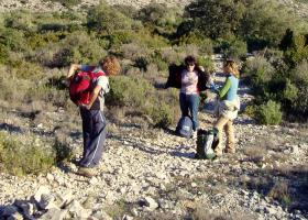 photo coins arrondis