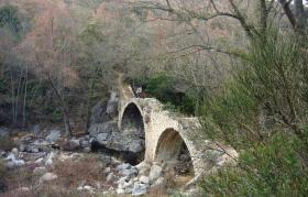 photo coins arrondis