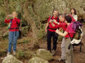 photo coins arrondis