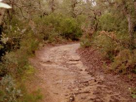 photo coins arrondis